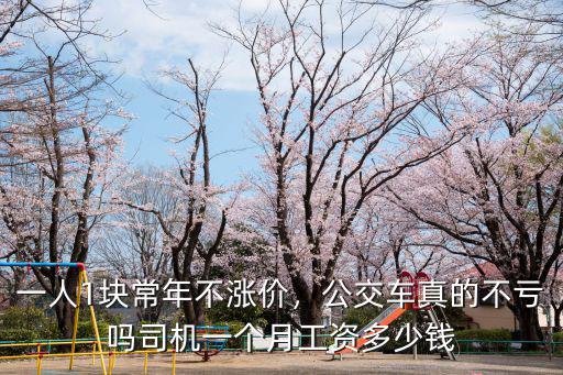 保定市公交司機工資多少,保定市跑公交待遇多少