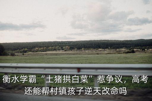 衡水中學拱白菜的高考多少分,衡水學霸土豬拱白菜惹爭議
