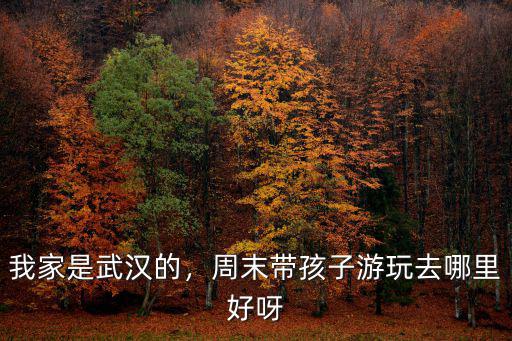 周末到武漢怎么玩,周末準備去武漢玩