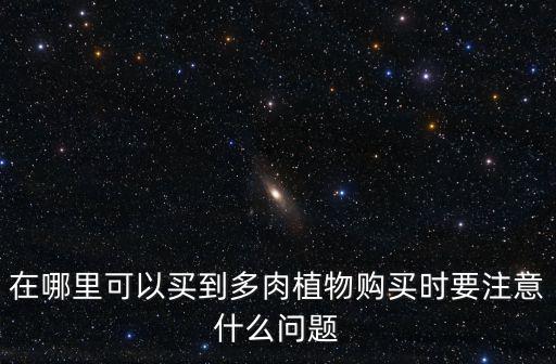 在哪里可以買到多肉植物購買時要注意什么問題