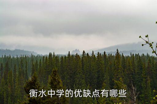 衡水中學的優缺點有哪些