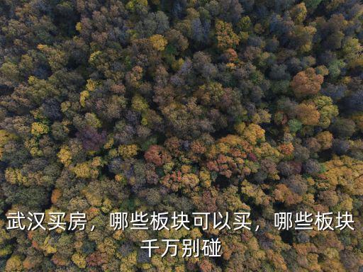 武漢黃家湖板塊怎么樣,武漢黃家湖軍運(yùn)村房子怎么樣