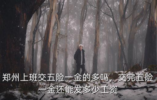 鄭州上班交五險一金的多嗎，交完五險一金還能發多少工資