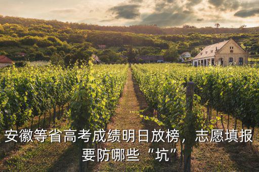 安徽多少號(hào)填報(bào)高考志愿,志愿填報(bào)要防哪些坑