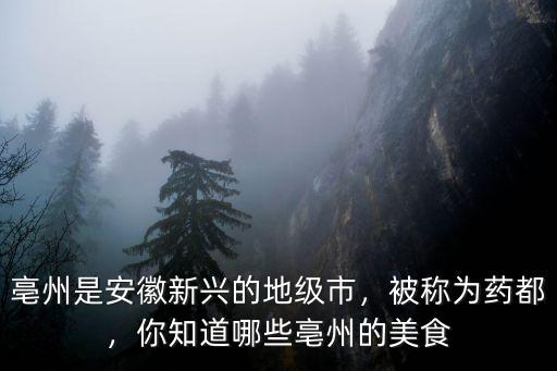 亳州是安徽新興的地級市，被稱為藥都，你知道哪些亳州的美食