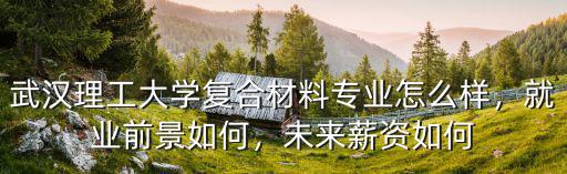 武漢理工大學(xué)王宇怎么樣,武漢理工大學(xué)口碑怎么樣