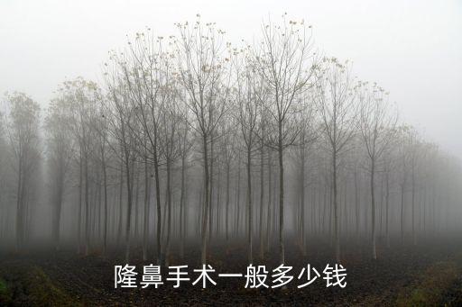 隆鼻手術一般多少錢