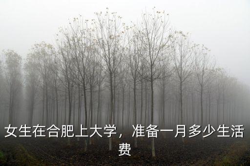 安徽大學一月生活費多少,準備一月多少生活費