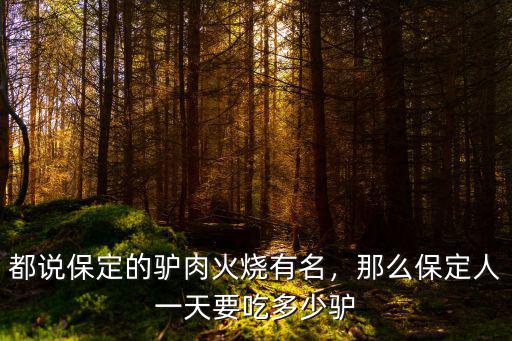 保定驢老頭驢肉火燒加盟費多少錢,都說保定的驢肉火燒有名