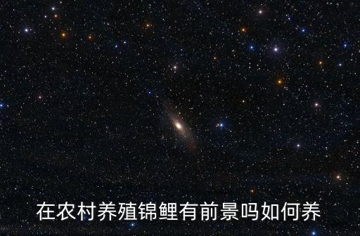 平頂山哪里有養殖錦鯉的,錦鯉養殖的方法與技巧有什么
