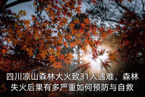 涼山森林大火在哪里,涼山西昌市突發森林大火