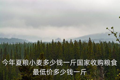 小麥石家莊地區現在多少錢一斤,今年夏糧小麥多少錢一斤