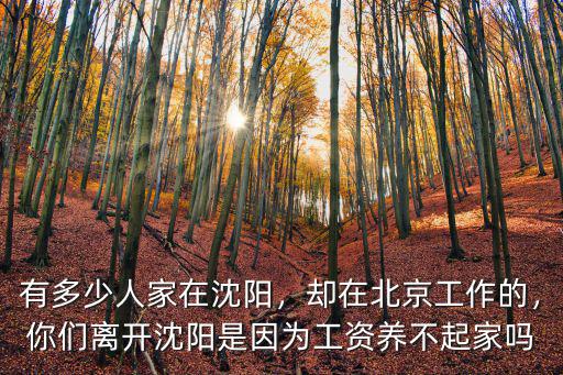 有多少人家在沈陽(yáng)，卻在北京工作的，你們離開(kāi)沈陽(yáng)是因?yàn)楣べY養(yǎng)不起家嗎