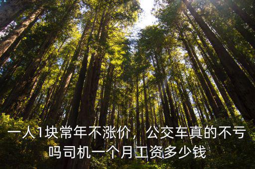 銅陵公交司機(jī)工資多少,司機(jī)一個(gè)月工資多少錢