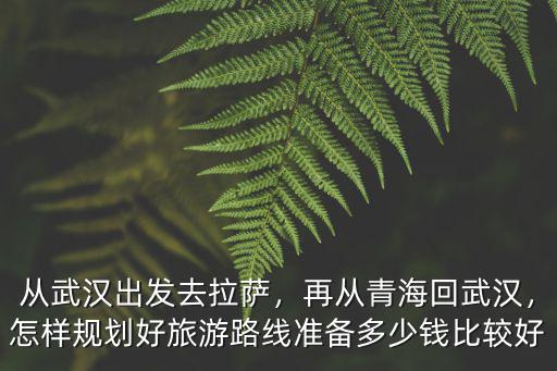 從武漢到拉薩怎么玩好,從武漢出發去拉薩