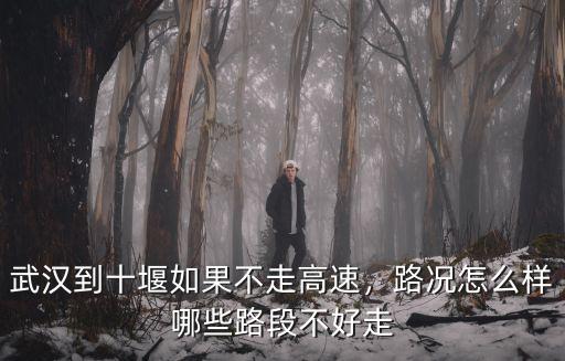 武漢到十堰如果不走高速，路況怎么樣哪些路段不好走