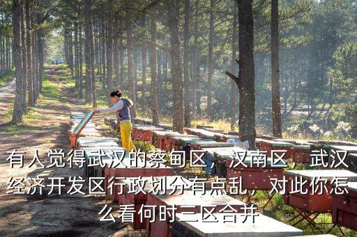 有人覺得武漢的蔡甸區，漢南區，武漢經濟開發區行政劃分有點亂，對此你怎么看何時三區合并