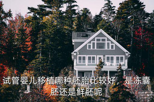 成都胚胎移植哪里最好,囊胚移植和胚胎哪個移植好些