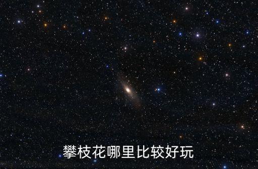 攀枝花到哪里好玩的地方,攀枝花哪里比較好玩