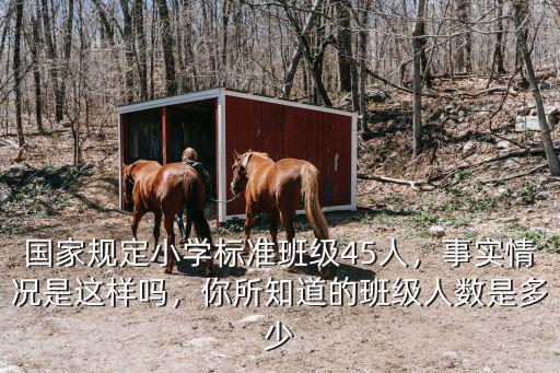國家規定小學標準班級45人，事實情況是這樣嗎，你所知道的班級人數是多少