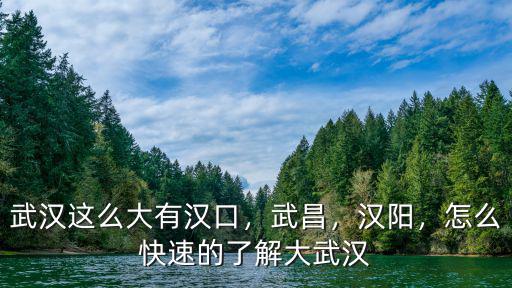 武漢漢陽(yáng)兵工廠怎么去,怎么快速的了解大武漢