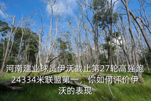 河南建業球員伊沃截止第27輪高強跑24334米聯盟第一，你如何評價伊沃的表現