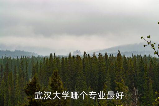 武漢大學(xué)校醫(yī)院皮膚科怎么樣,武漢大學(xué)在全國怎么樣