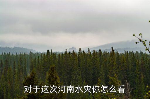對于這次河南水災你怎么看