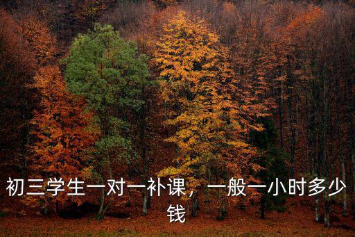 初三學生一對一補課，一般一小時多少錢