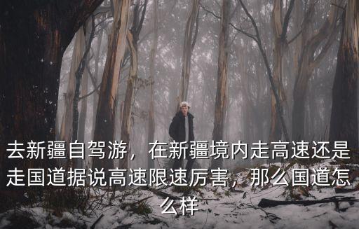 莎車到駐馬店走國道怎么走,在新疆境內走高速還是走國道