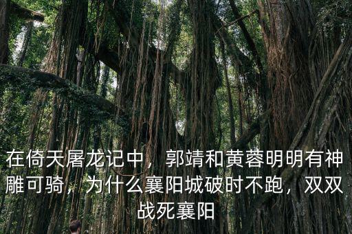 郭靖怎么戰(zhàn)死襄陽(yáng)的,郭靖是怎么死亡的