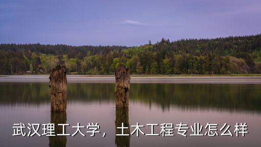 武漢理工大學，土木工程專業怎么樣
