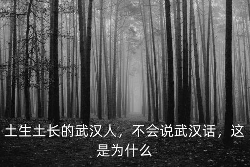 土生土長的武漢人，不會說武漢話，這是為什么