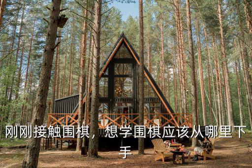 剛剛接觸圍棋，想學圍棋應該從哪里下手