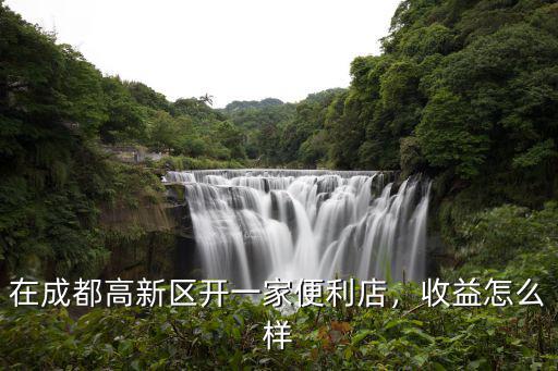 在成都高新區開一家便利店，收益怎么樣
