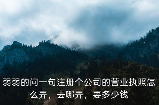 南陽網(wǎng)上注冊公司要多少錢,注冊一家公司大概要花多少錢