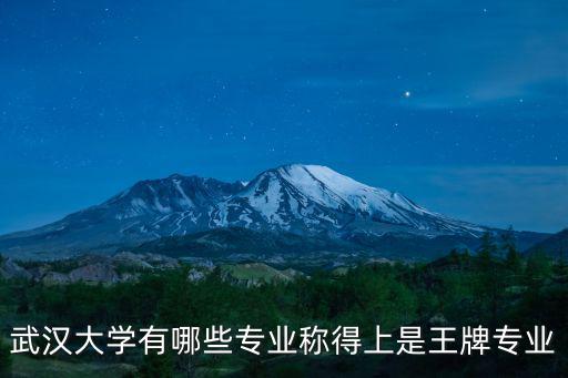 武漢大學的思想政治專業怎么樣,專業是政治經濟學
