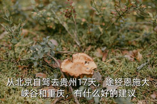 從北京到恩施怎么去好,北京到恩施8天自駕游