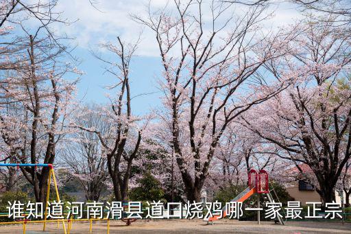 哪里有正宗河南燒雞,哪里的道口燒雞比較正宗