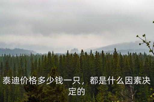 泰迪價格多少錢一只，都是什么因素決定的