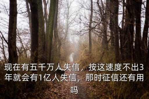 安徽無為失信人員有多少,我國的失信人員