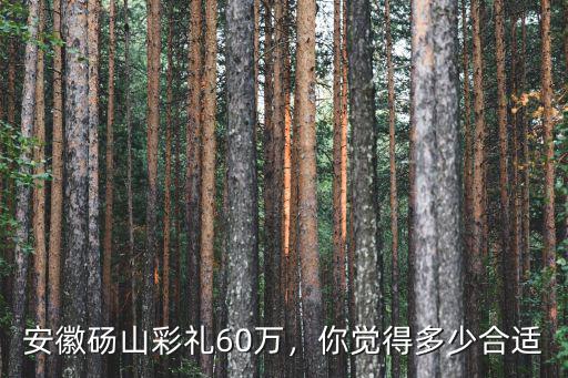 安徽碭山彩禮60萬，你覺得多少合適