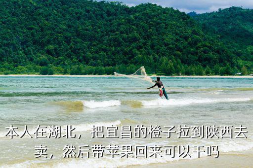 湖北賣蘋果怎么樣,擺地攤賣水果怎么樣