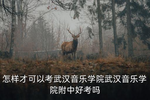 武漢音樂學院校考成績靠后怎么辦,武漢音樂學院附中好考嗎