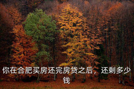 合肥房貸月付多少,你在合肥買房還完房貸之后