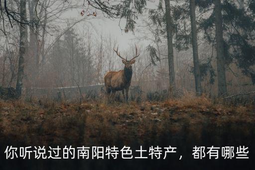 南陽烙畫的市場現(xiàn)狀怎么樣,云南的玉石批發(fā)市場怎么樣