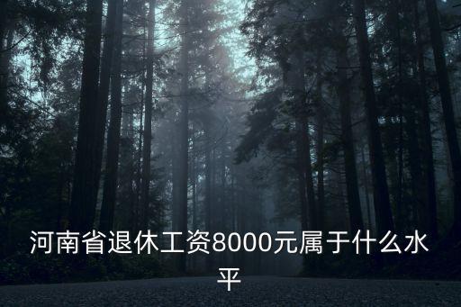 河南省退休工資8000元屬于什么水平