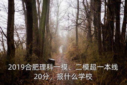 2019合肥理科一模、二模超一本線20分，報(bào)什么學(xué)校