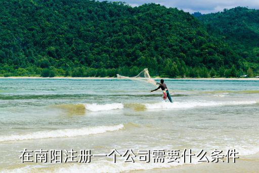 在南陽注冊一個公司需要什么條件