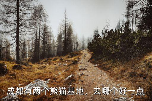 成都游玩哪里的熊貓,成都的大熊貓基地在哪里